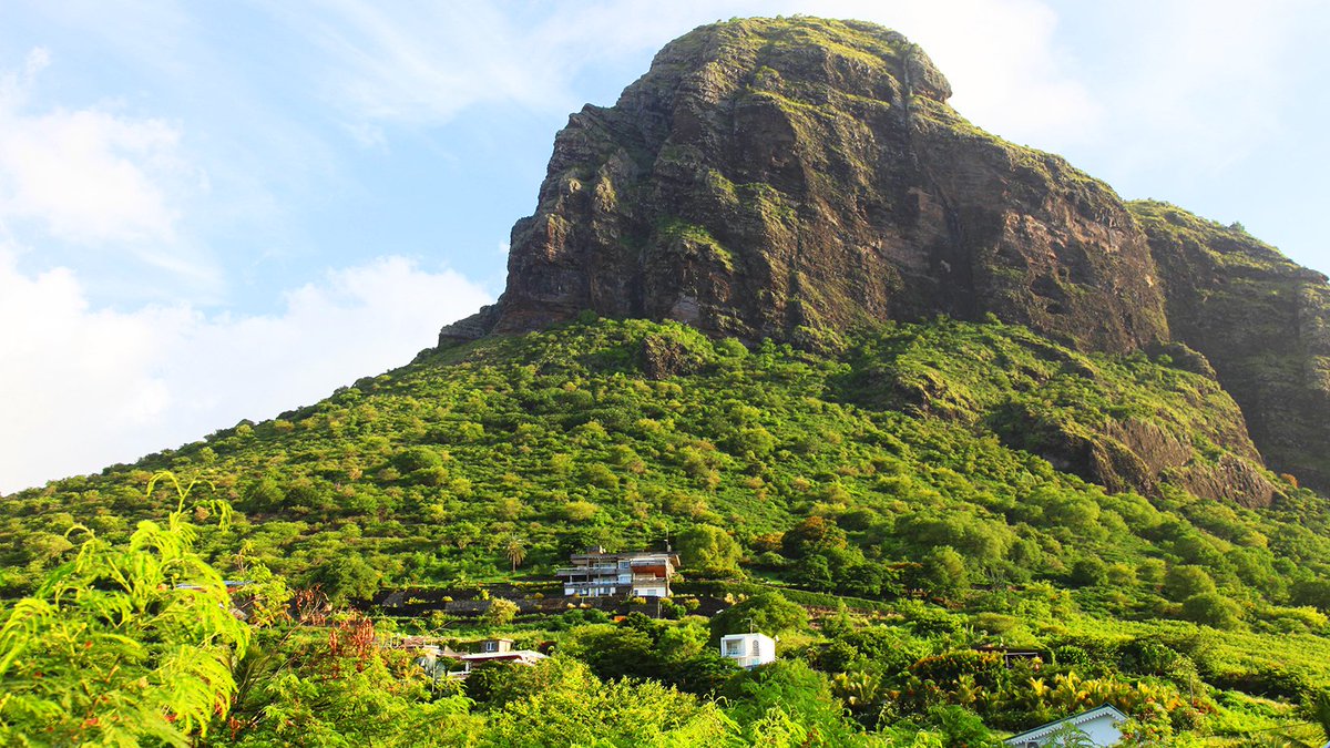 HFH Mauritius tweet media