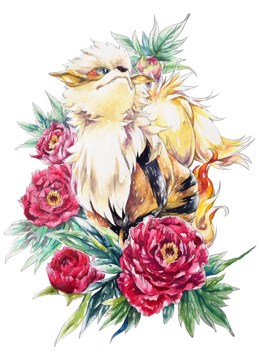 がく ウインディ 牡丹 花言葉は 王者の風格 ポケモン花言葉 T Co Esw3nqnaud がく ウインディ 牡丹 花言葉は 王者の風格 ポケモン花言葉 T Co Esw3nqnaud