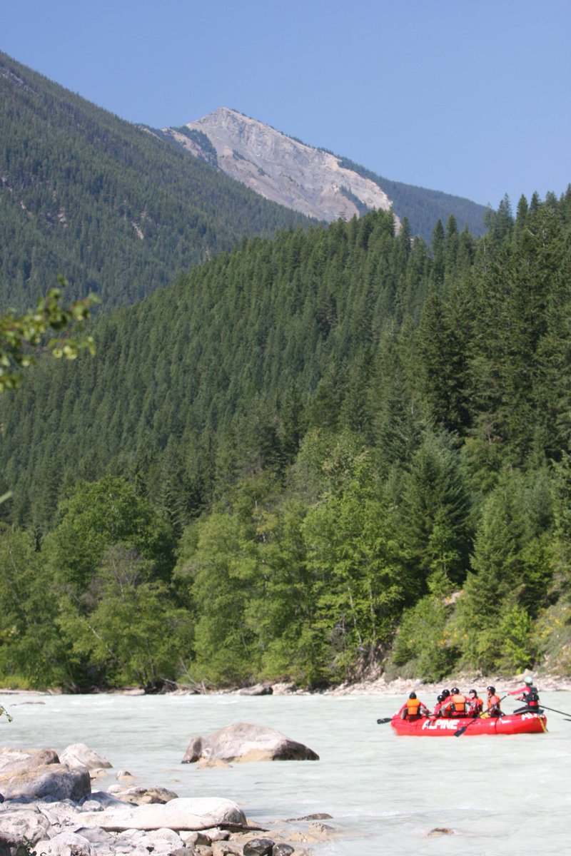 AdventureAllies's tweet photo. Rafting in the Rockies with @AlpineRafting last summer! @TourismGolden #ExploreBC #ThisHorseRules #KickingHorseRiver https://t.co/5m0yTGfEAv