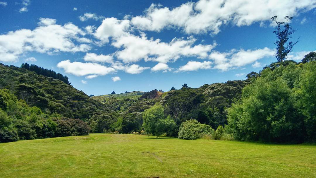 DNAttractions's tweet photo. Summer in Evansdale Glen, north of Dunedin. #dunedinnz #dunedinattractions #nz
https://t.co/nYYCcN6ilt https://t.co/dOPrMutYRq
