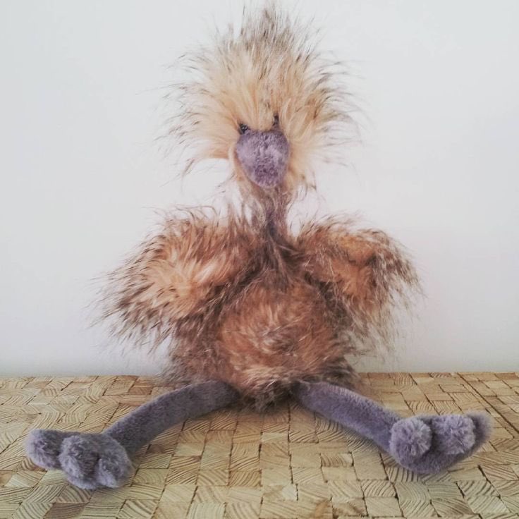 KMerkley01's tweet photo. My newest travel buddy.  Will accompany Puck The Pig. Needs hockey name.  It's an Ostrich. https://t.co/xKCXyVXLFf