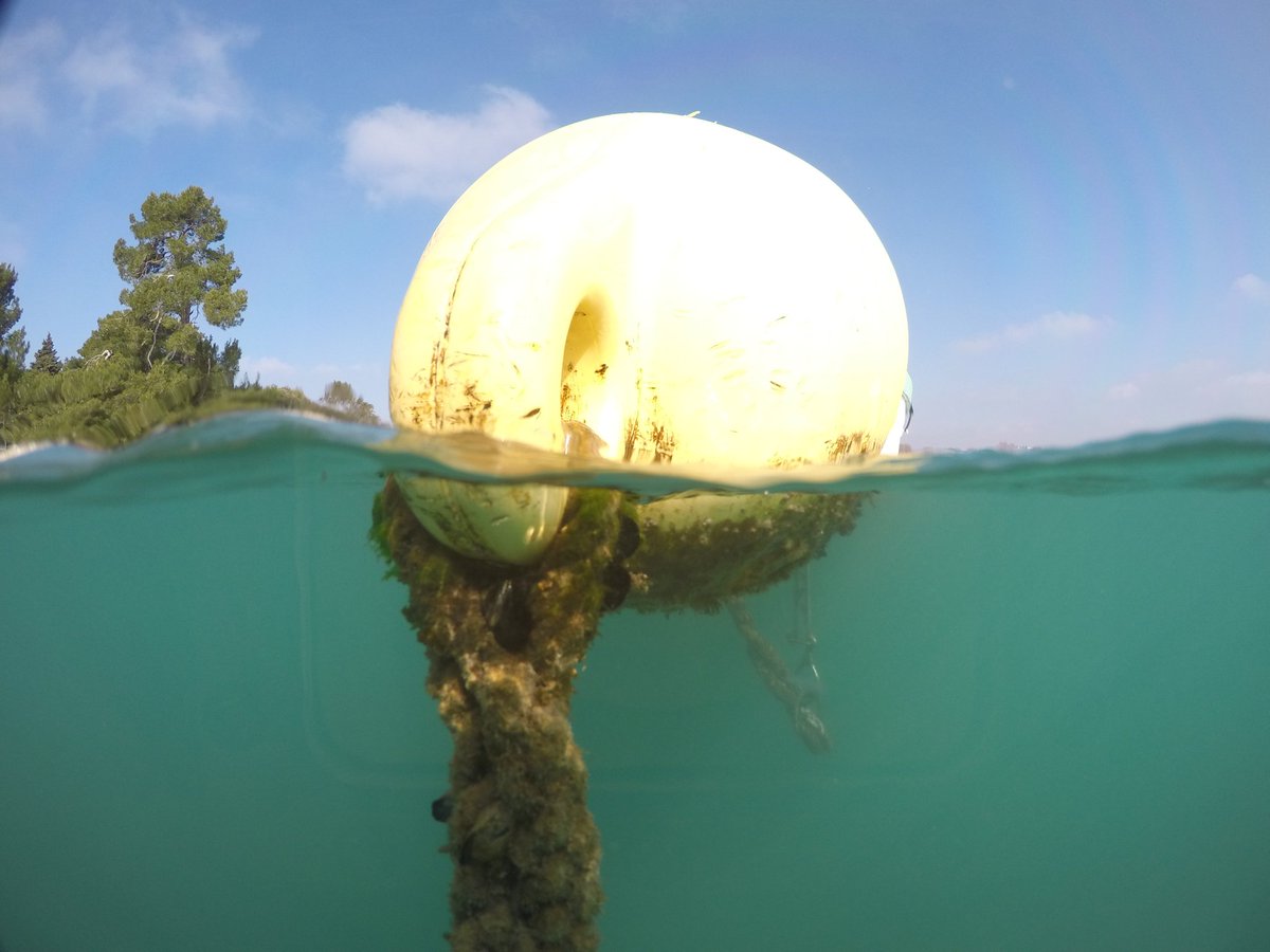SplitGadgets's tweet photo. Raise the anchor and sail away:) #gopro #goprophotography #splitdome #sea https://t.co/SptscXHRFf