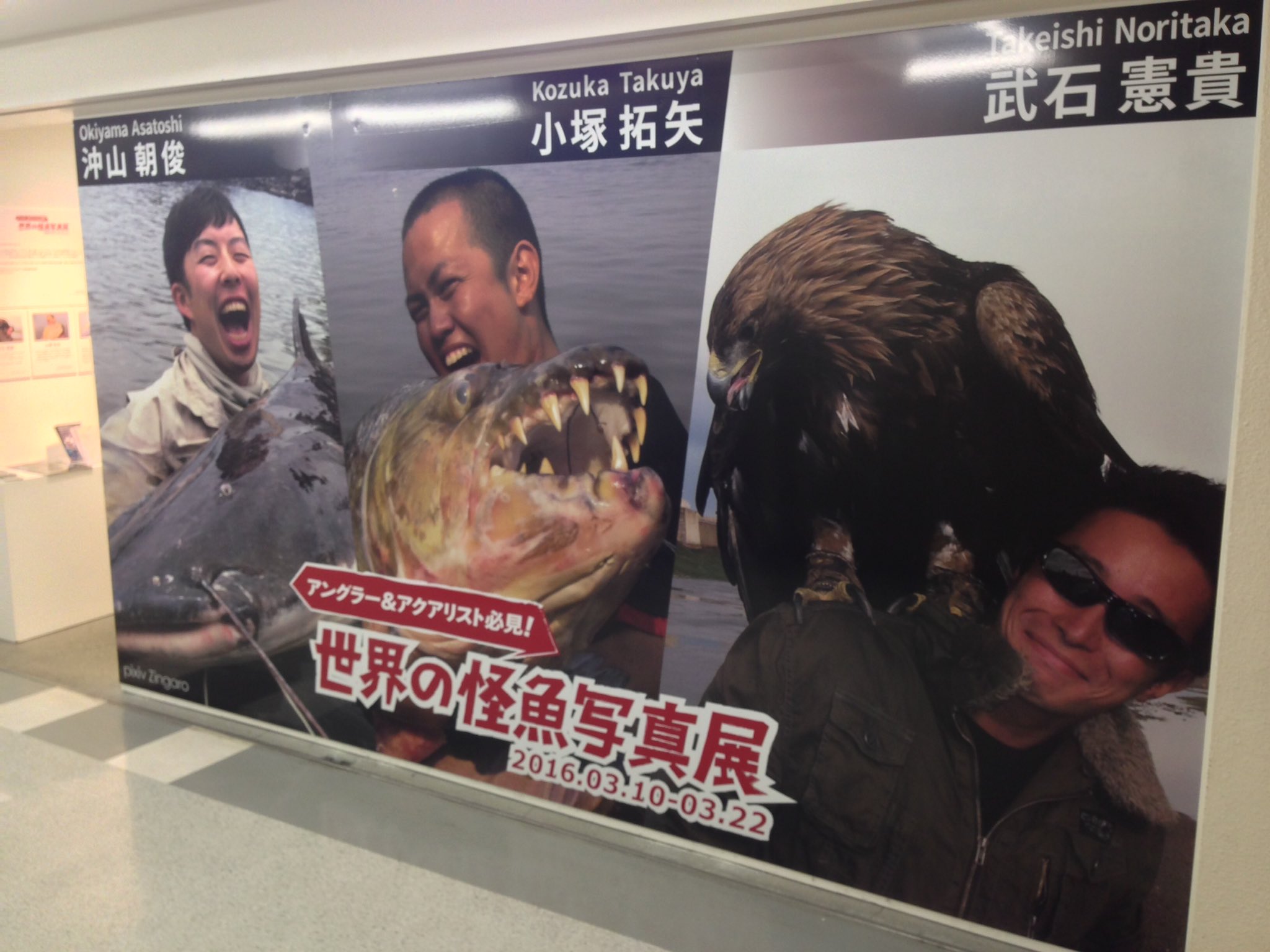 تويتر Pixiv Waen Gallery على تويتر 本日からスタート 世界の怪魚写真展 武石 憲貴 小塚 拓矢 沖山 朝俊 日本を代表する怪魚ハンター3人が今まで釣り上げてきた世界中の怪魚の写真や動画 剥製等貴重な作品の展示しています T Co Wy8irqosgx T