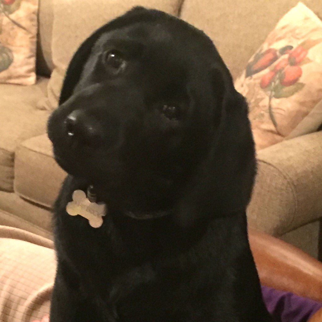 kesisney's tweet photo. We're going to miss you! @WranglerTODAY #WeLoveWrangler https://t.co/fVas9xfnYl