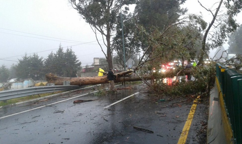 sopitas's tweet photo. BREAKING: Suspenden clases en la CDMX debido al clima https://t.co/mkFeY3mSvj https://t.co/PYipsJZqFD