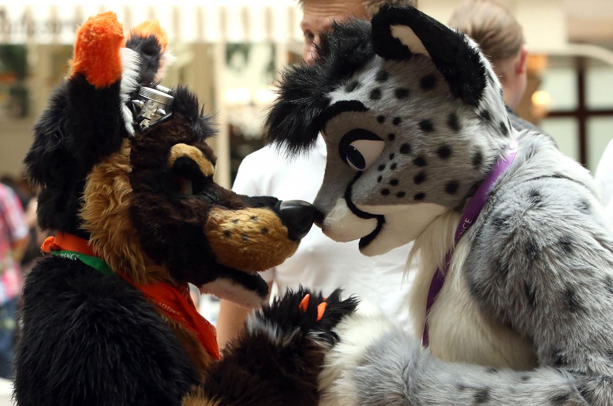 astroehlein's tweet photo. Refugees get a warm welcome in Canada. Some even get to share hotel with furries convention https://t.co/HhdBXRcCMu https://t.co/7pk2TZ8Why