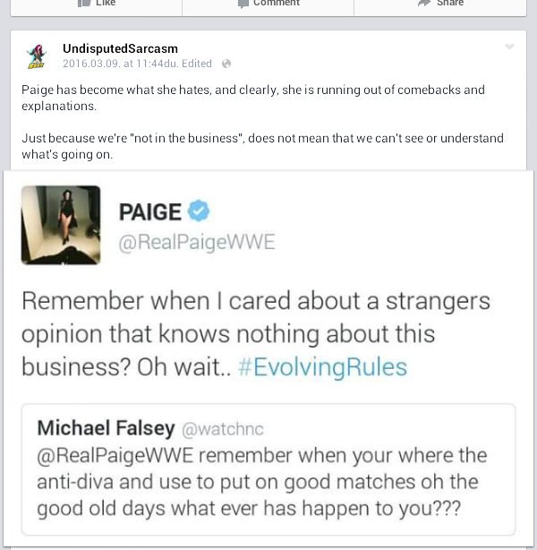 wwefanman5's tweet image. @RealPaigeWWE  daaamn! #itssadbuttrue :/