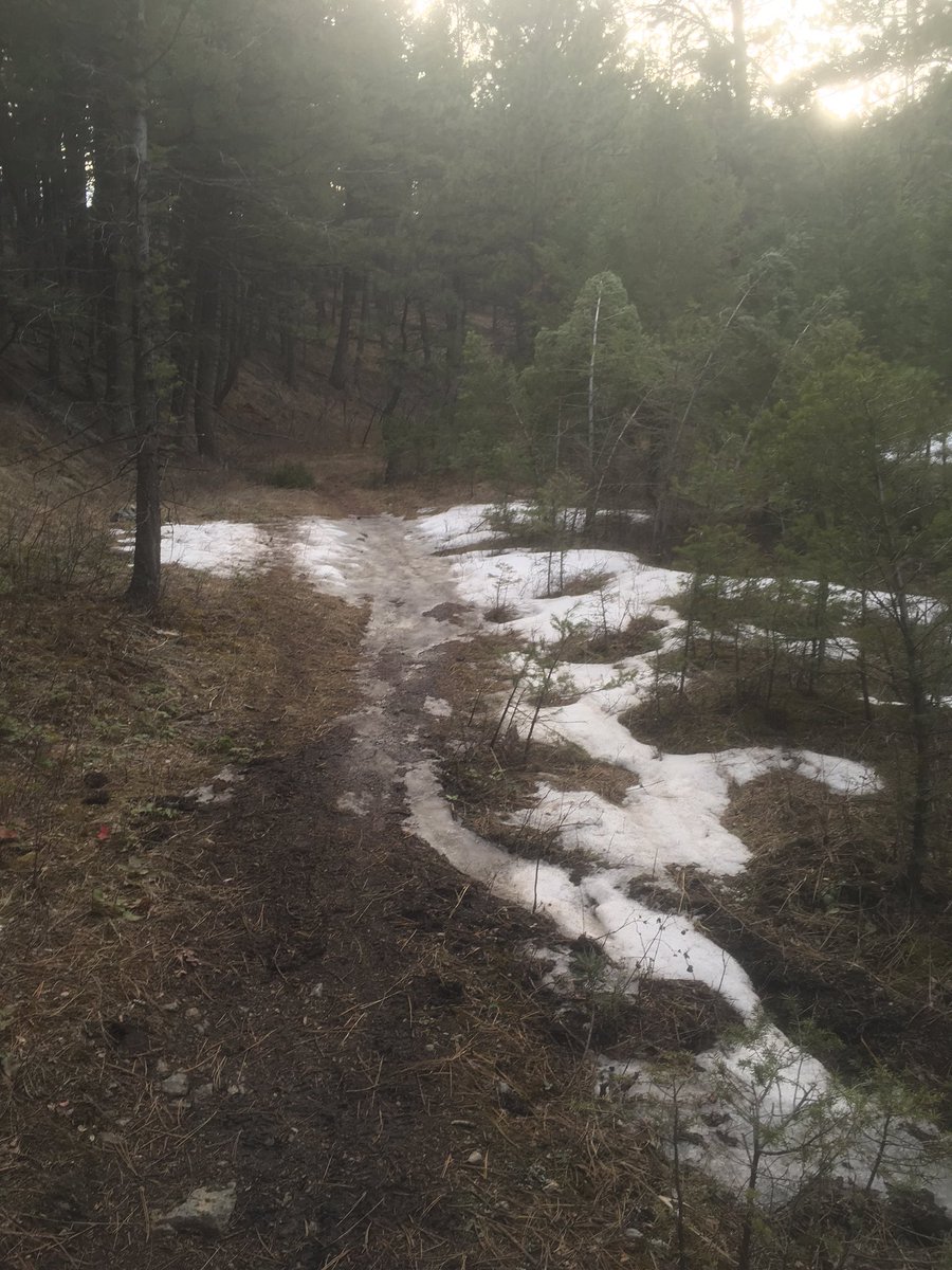 MTbicycleguild's tweet photo. Several Helena trails are still not open.  Check in with local bike shops or @trailforks for what's open or closed. https://t.co/dwYBOI0Lqx