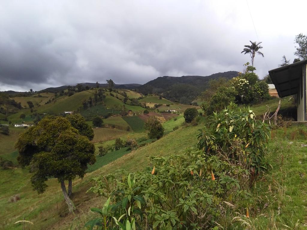 c_paspuel's tweet photo. Cuidemos nuestro entorno en su naturaleza pura... https://t.co/lUJPuHxbis