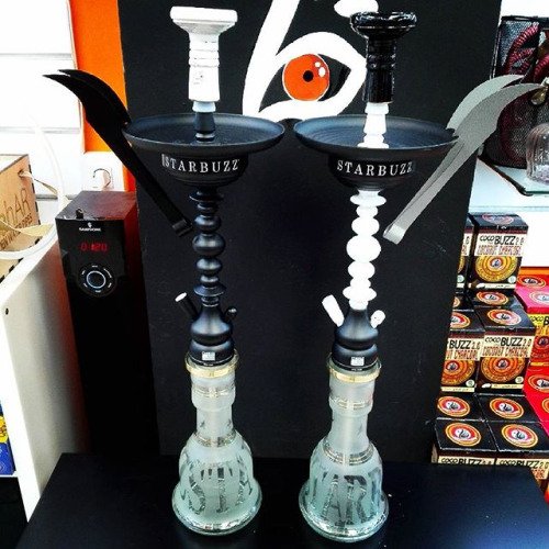 Llegan a Bengala las nuevas Starbuzz Short Atlantis Ice. No te... ift.tt/1QIQn3W