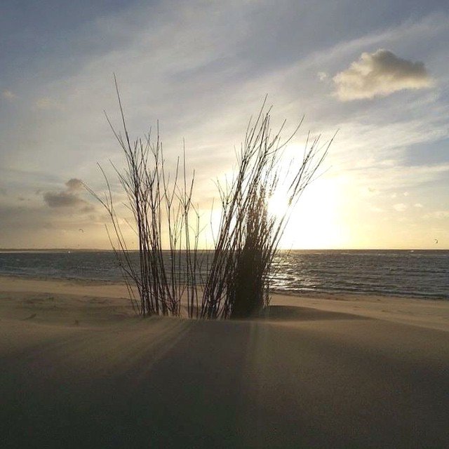 Havenlust's tweet image. Good Morning everyone! Open our eyes and say hello to a new day ;-) #art #sunrise #photography #photooftheday #beach