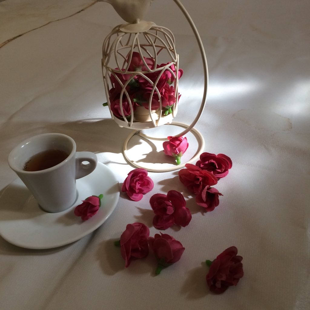 هناگ أشخاص بوجودهم فقط 
يكتمل معنى الحياة 💞 #خواطر. #بوح