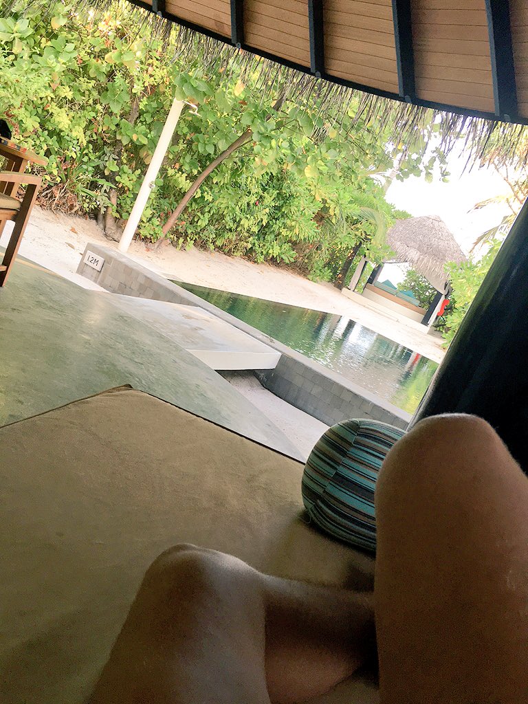 TheRealLiont's tweet image. Ein paar letzte Tage hier genießen! ✨🌴☀️