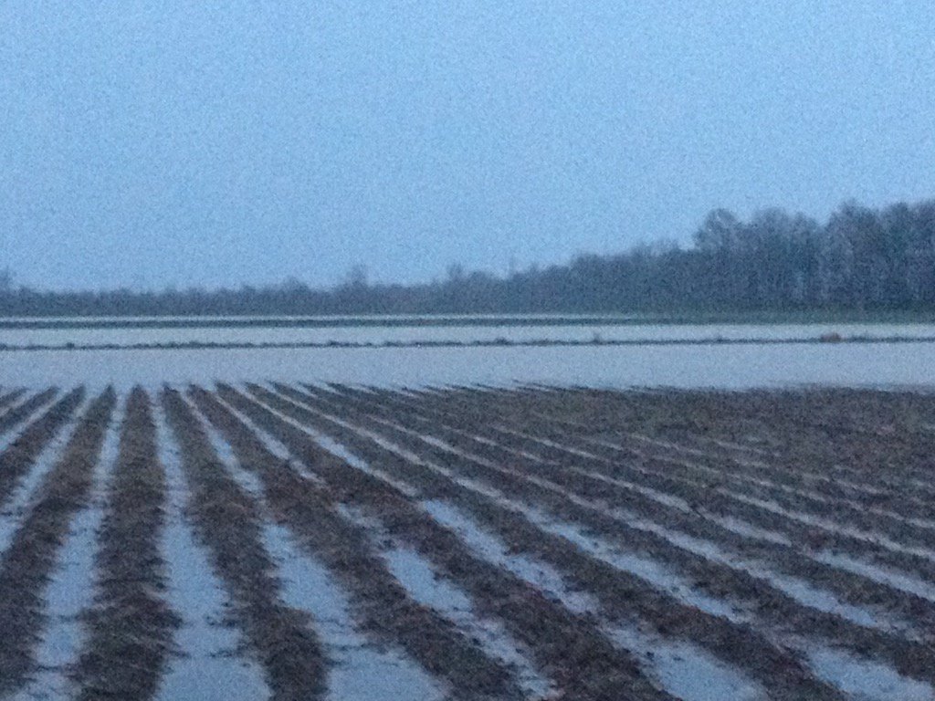 It's a little wet here