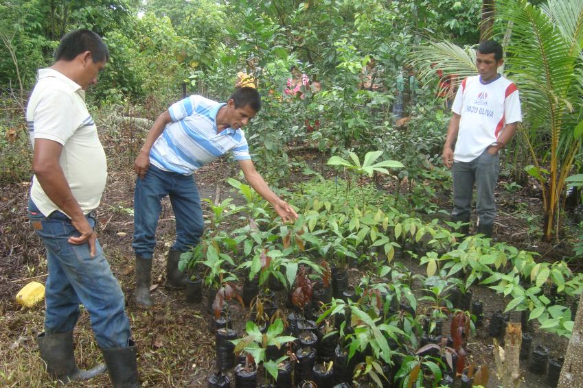 LWF's Virtual Conference on Diakonia starts NOW!... bit.ly/virtual_diakon… #Diakonia2016
