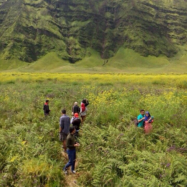 BackpacktourID's tweet photo. Ada yg kangen Savanna yg Ijo royo2? https://t.co/vQ1ORmfuCt