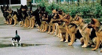 Phil Jones MBE tweet media