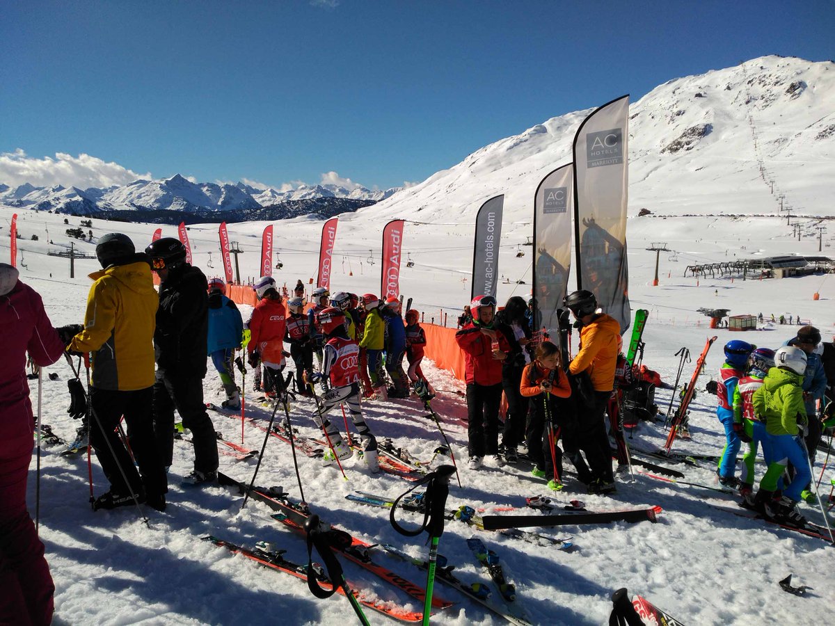 Audi quattro Cup tweet media