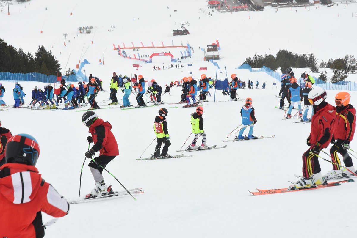 Audi quattro Cup tweet media