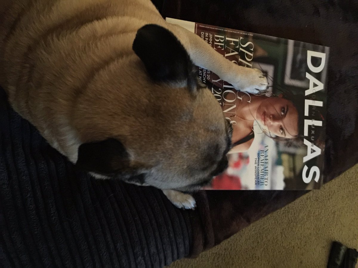 steph4dice's tweet photo. Pawiey is trying read!!!  #FLAReads https://t.co/ViTigX3MWy