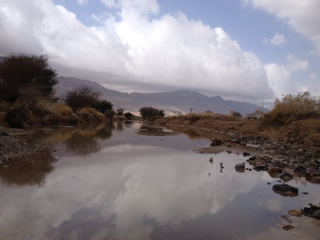 almnkfd_almdari's tweet photo. #اخدود_الهمائل#صورة اليوم_ولاية ينقل_الروضه..
#بعدسة_ناظم البادي
#المنخفض_المداري https://t.co/QO7JQ5it3z
