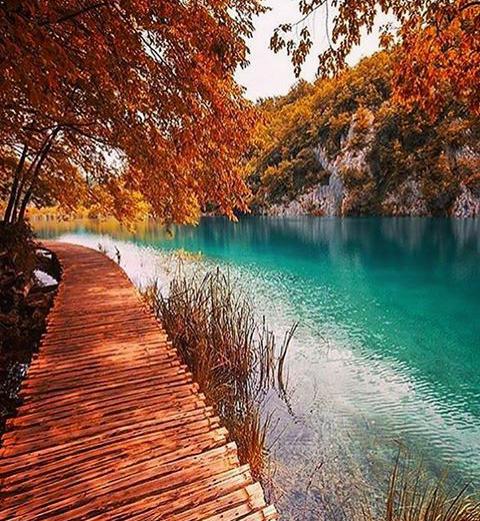 NatureK1nd's tweet image. •Plitvice, #Croatia.