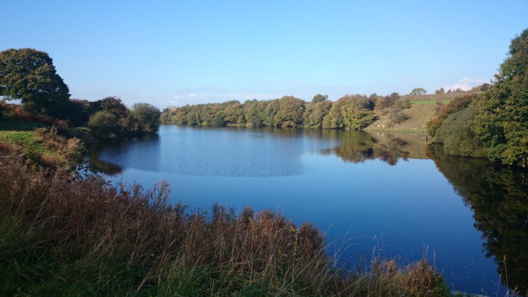 DogRamblers's tweet photo. Morning all. Any nice dog walks planned - if so where your favourite place to go and why? I love this place #heapy https://t.co/FPHGFV7bei