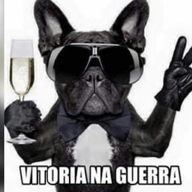 Deia Costa(Tim Beta) (@deia_costa_adm) on Twitter photo 