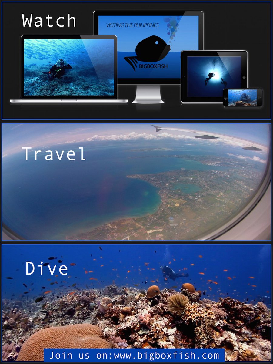BigBoxfish's tweet photo. @giovanni186  Thanks for following #bigboxfish. Watch our #film on: https://t.co/tCuOIrqxR4 Next #Maldives #scuba https://t.co/9relJxjxUh