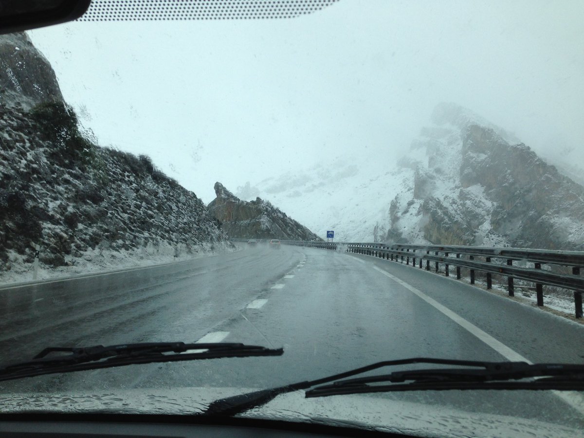 Equipo <a href="/BirdingNavarra/">Birding Navarra</a> camino a FIO Extremadura, iremos informando