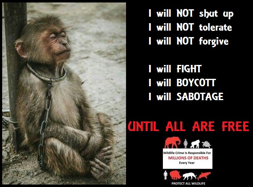 Protect_Wldlife's tweet photo. My 'Thought For Today (And Always)' - RT if you agree. Help #MakeCrueltyHistory!! https://t.co/1i5VDpcLb0