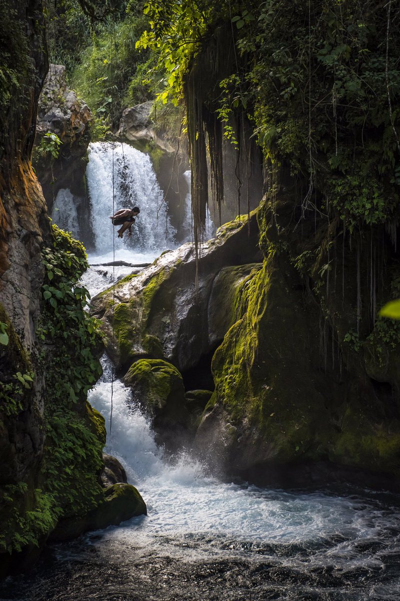 <a href="/memva/">luna llena</a> @ducci46 @galeno1999 <a href="/trcas/">Tere</a> <a href="/Deli60Ros/">🌟Ros🌟</a> @Amber__Roses   @Soniagrolla TY Luna. 😊 Have a fantastic day everyone🌺