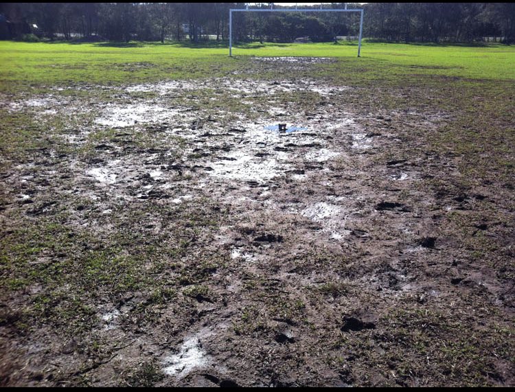 <a href="/StocktonWestEnd/">Stockton West End</a> @Nunthorpe_fc like a carpet
