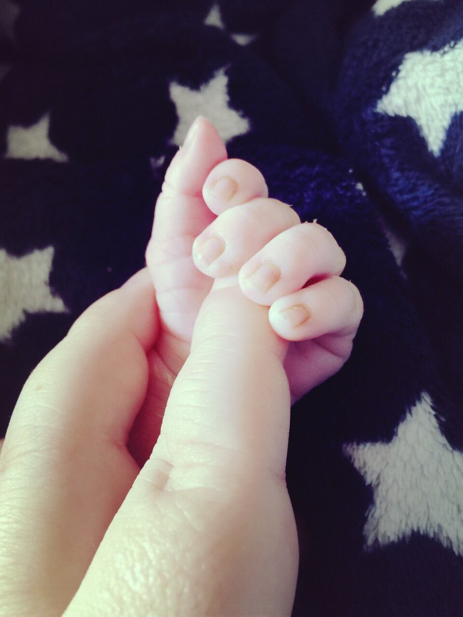 Borderlinebarn tweet media