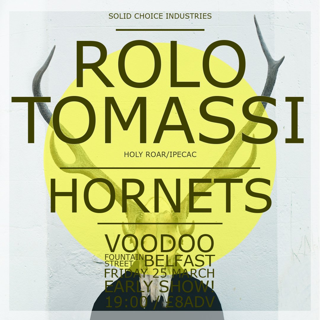 Solid_Choice's tweet image. Just over 2 weeks until @rolotomassiband &amp;amp; @Hornetsbanduk play @Voodoo_Belfast ! Tickets - goo.gl/bohZ9R