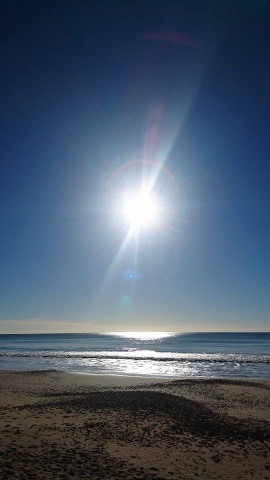 coastalactivity's tweet photo. What a difference a day makes! ☀️ ☀️ ☀️ https://t.co/rnrTE8ttzQ