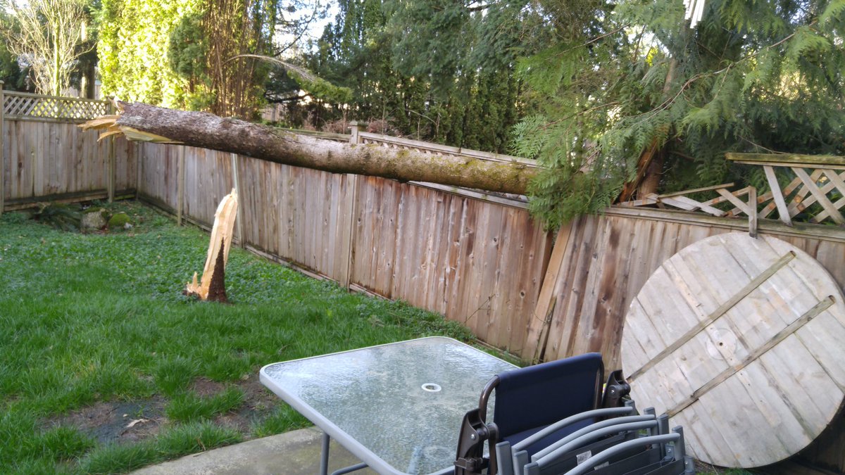 ShayShay tweet media