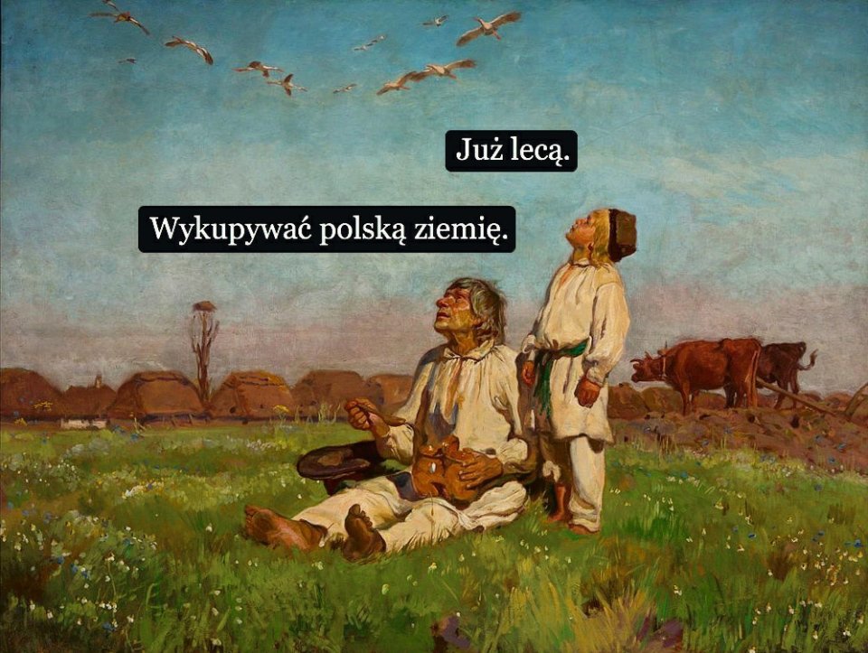 #SztuczneFiołki dla DF