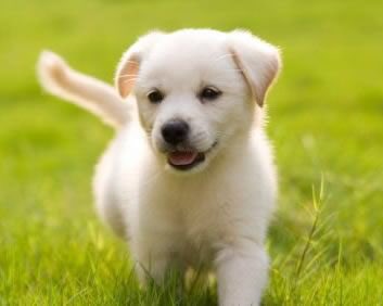 VoteSpectrum's tweet photo. Happy Thursday!! Hope this brightens your day :) #votespectrum https://t.co/2FGqu5Sfgk