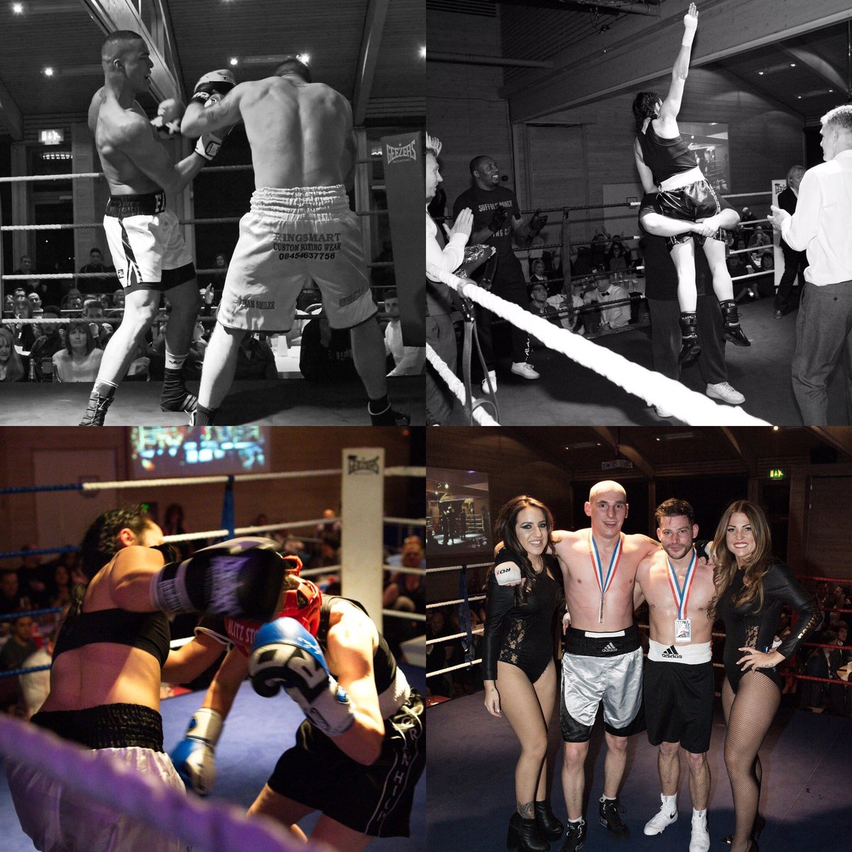 gfpsuffolkpunch tweet media