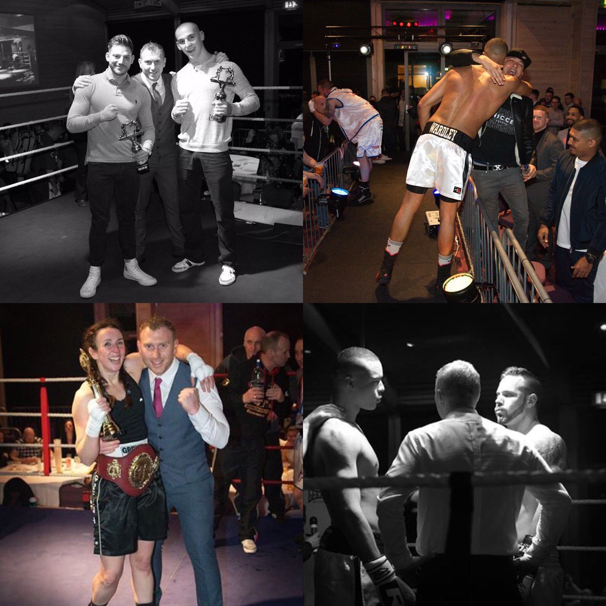 gfpsuffolkpunch tweet media