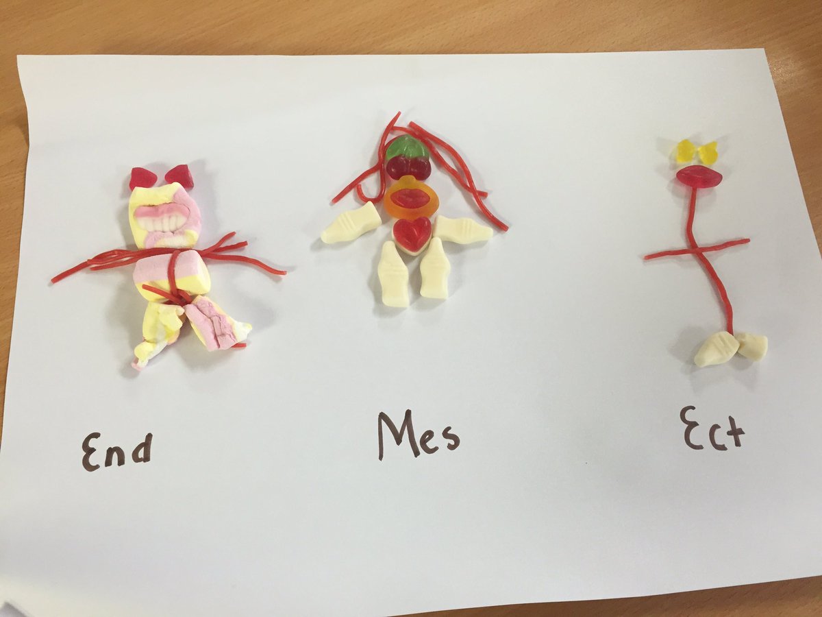 PeaseMiss's tweet photo. #Sweetie #Somatotypes with #GCSE #PE - #endomorph #mesomorph #ectomorph #physed ( #learnfun #learndifferent ) https://t.co/RBSdzPvOXr
