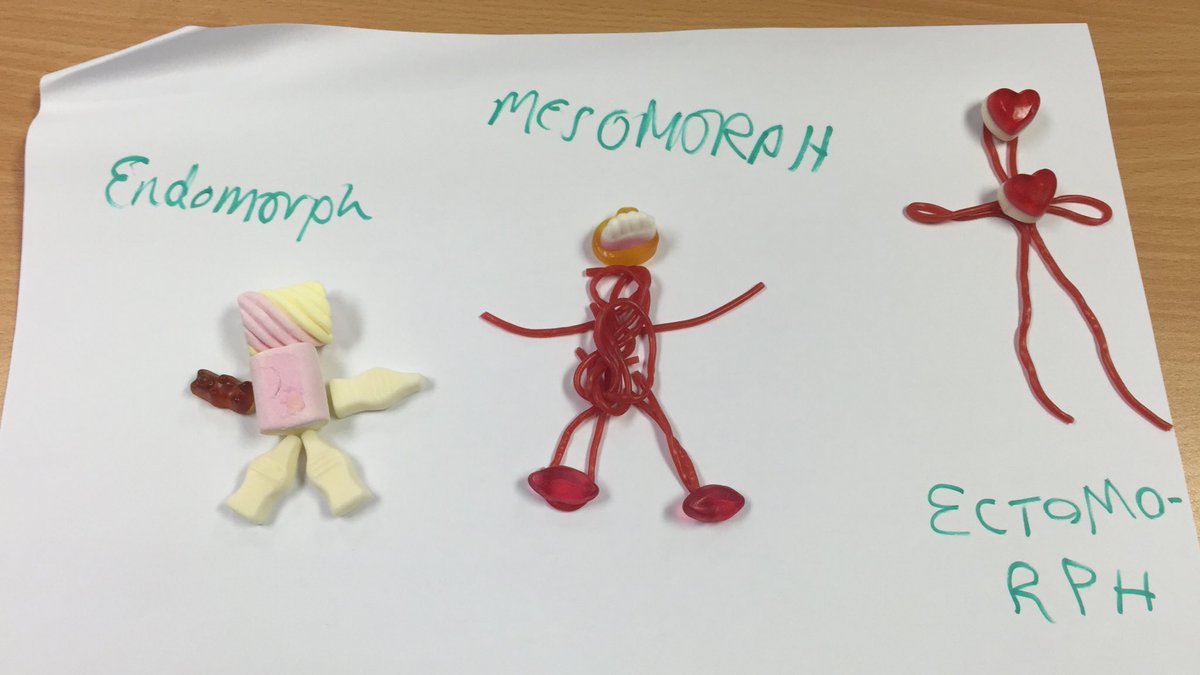 PeaseMiss's tweet photo. #Sweetie #Somatotypes with #GCSE #PE - #endomorph #mesomorph #ectomorph #physed ( #learnfun #learndifferent ) https://t.co/RBSdzPvOXr