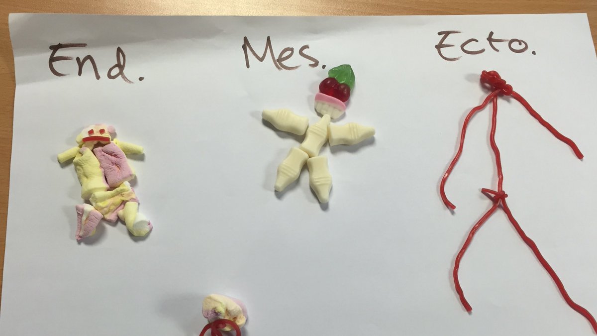 PeaseMiss's tweet photo. #Sweetie #Somatotypes with #GCSE #PE - #endomorph #mesomorph #ectomorph #physed ( #learnfun #learndifferent ) https://t.co/RBSdzPvOXr