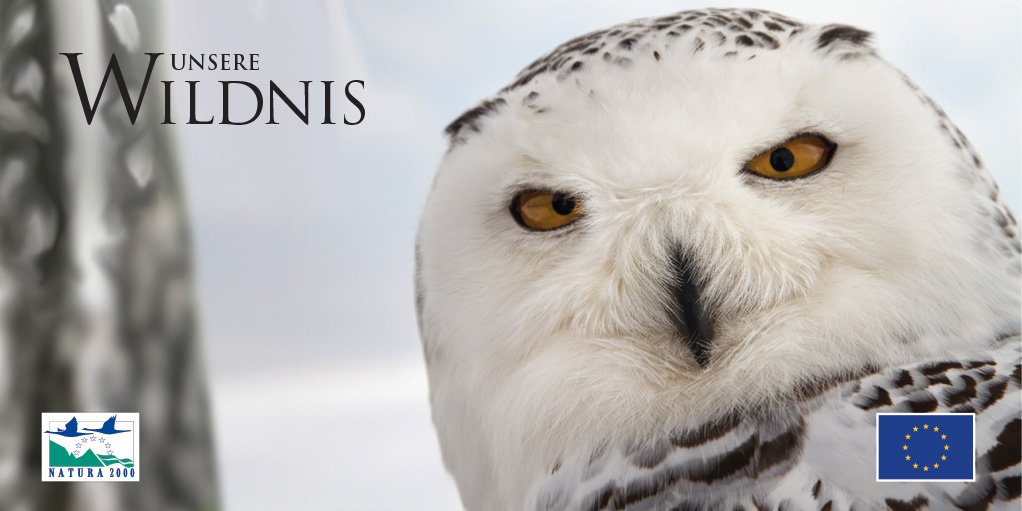 EU_ENV's tweet photo. #Seasons film shot in many #Natura2000 sites released today in Germany & Austria! https://t.co/oRE2bOIe7p #env4eu https://t.co/9EB51OLa0f