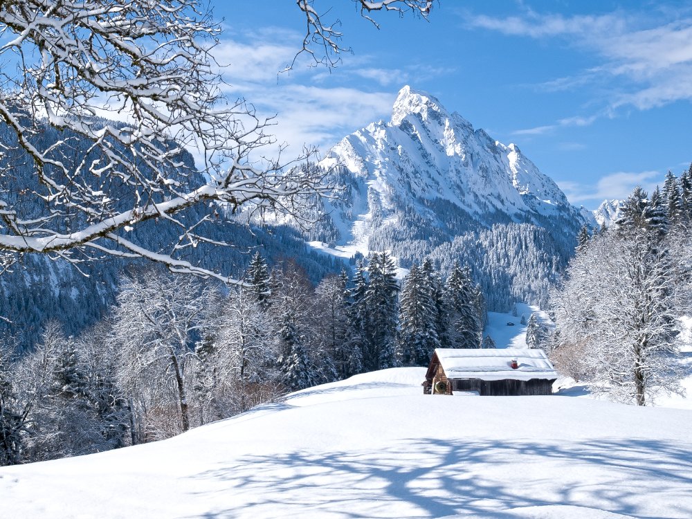 Impression aus dem #Saanenland #Saanen RUEBLIHORN