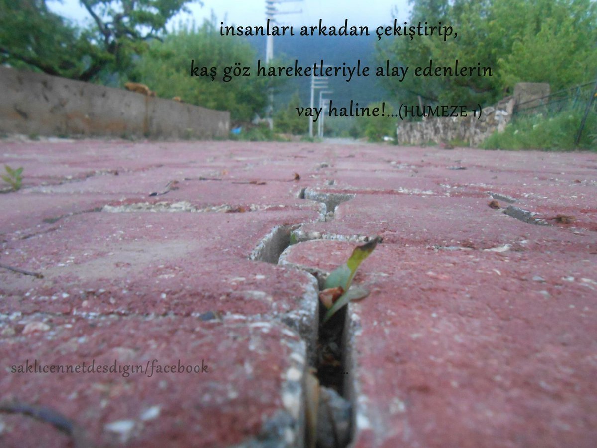 Deşdiğin (@ddesdigin) on Twitter photo 
