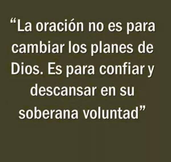Bibiamanager's tweet photo. https://t.co/Odfgl9gZte