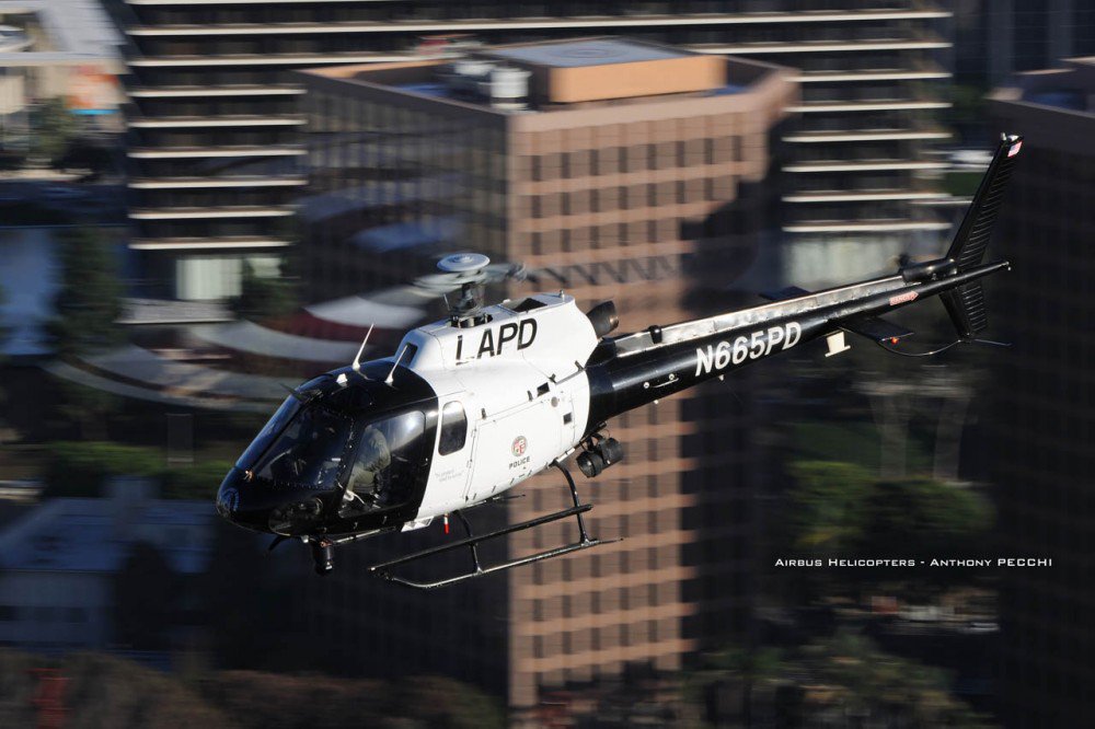 AirbusHeli's tweet photo. STORY: Protect and serve from the skies #H125 @LAPDairsupport  @911LAPD @LAPDHQ
https://t.co/Zeh0EtmBBw https://t.co/qoCVDrnoH7