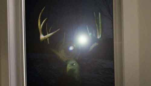 Tim Higgs tweet media